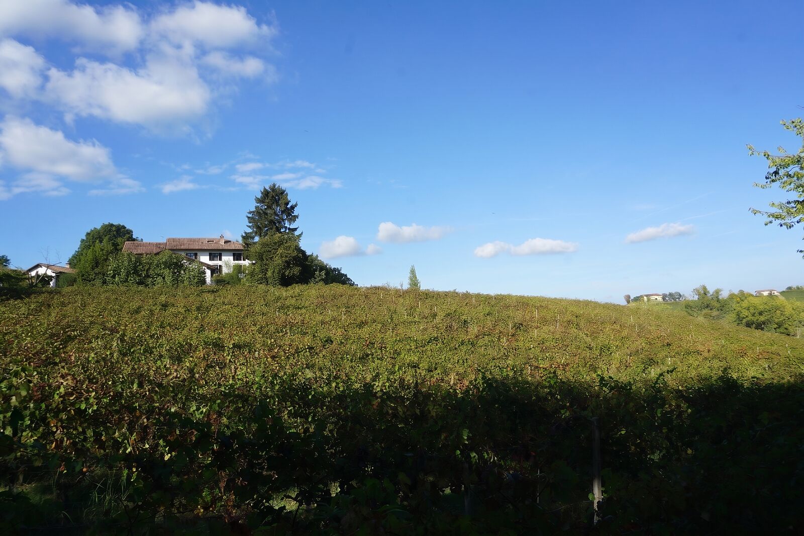 Cascina Blon among the vineyards above Nizza Monferrato