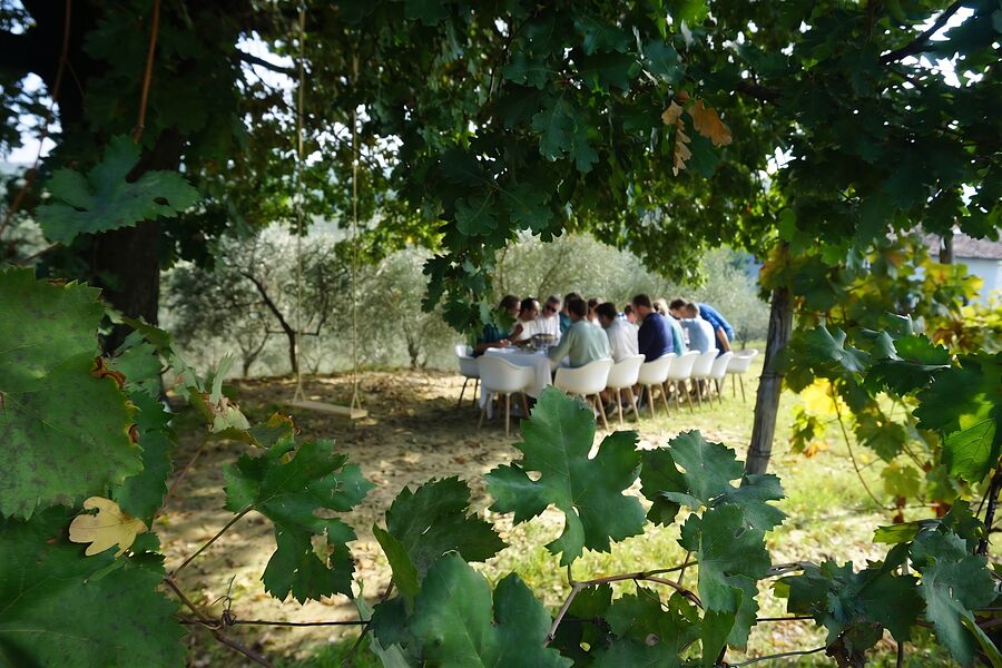 Lunch onder de bomen, gezien door de wijnranken