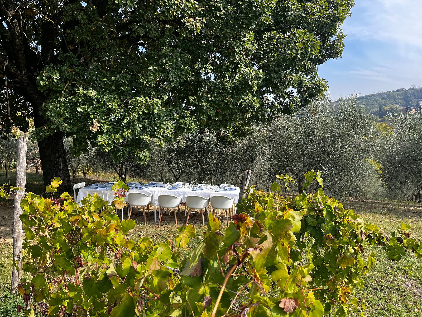A long table laid under the oak at Cascina Blon