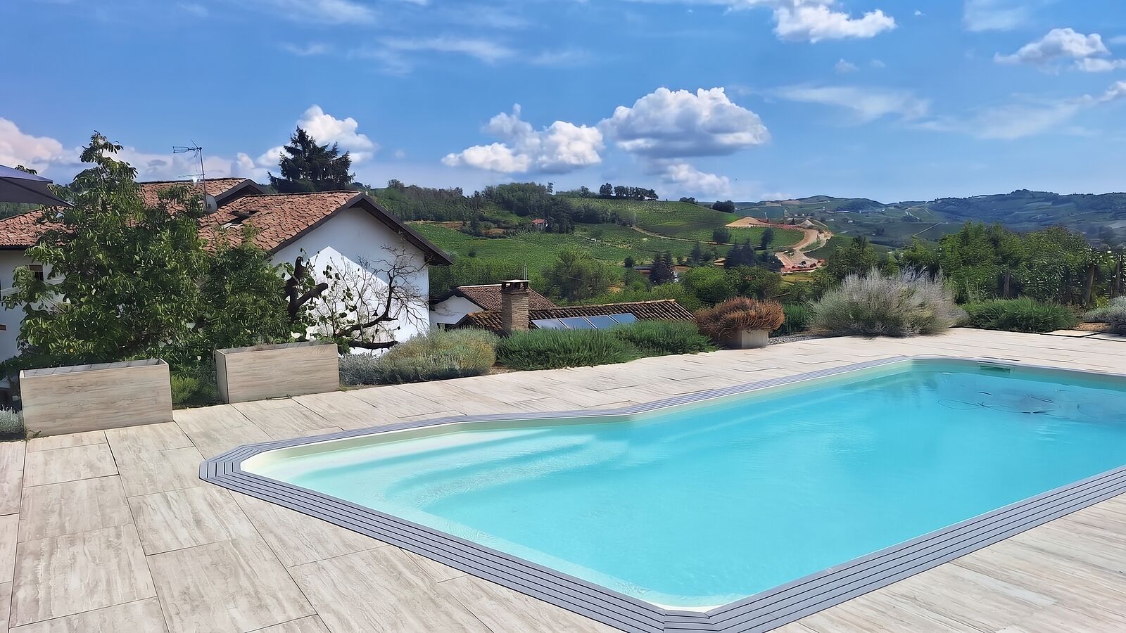 Pool, garden and vines
