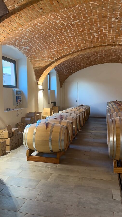 Rows of oak barrels in the vaulted cellar